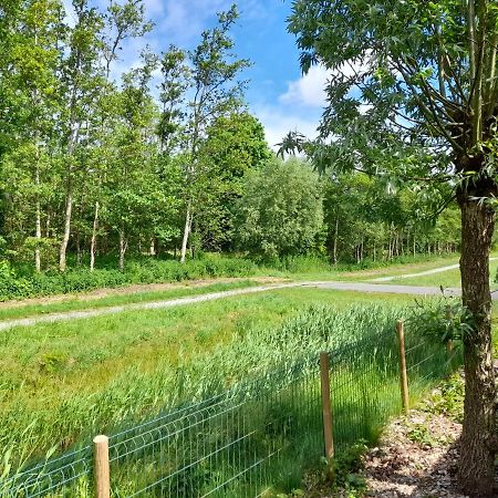Вилла Wellnesshuis Met Hottub, Ligbad En Grote Tuin Tzummarum Экстерьер фото
